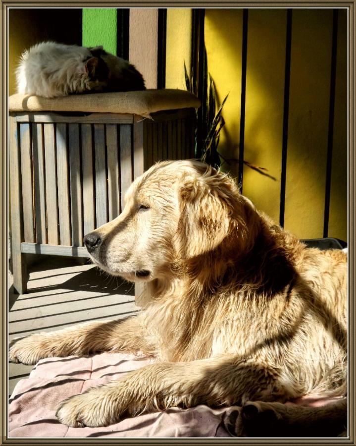 Cuntro' Granda Bed & Breakfast Boves ภายนอก รูปภาพ